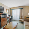 Отель Sandman Hotel & Suites London Downtown, фото 19