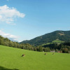 Отель Animal -friendly Apartment in Leogang, фото 9