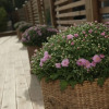 Отель Yxnerum Hotel & Conference, фото 21
