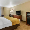 Отель Comfort Inn & Suites, фото 7
