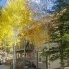Отель Breckenridge Retreat w/ Hot Tub & Mountain Views!, фото 1
