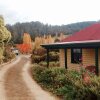 Отель Hamlet Downs Country Accommodation, фото 8