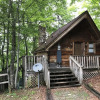 Отель Gatlinburg Mountain Magic Hot Tub Cabins, фото 20