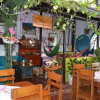 Отель Hostal Pajara Pinta - Hostel, фото 15