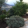 Отель Chalet With 2 Bedrooms in Ajaccio, With Wonderful Mountain View, Pool, фото 1