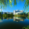 Отель Zhuhai Holiday Resort Hotel, фото 11