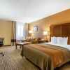 Отель Comfort Inn Hall of Fame, фото 7