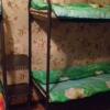 Гостиница Hostel Kassia в Москве