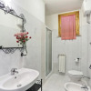 Отель Begonia, фото 7