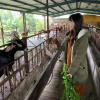 Отель Xu Sheng praised Homestay, фото 38