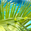 Отель Bungovolla Homes, фото 3