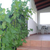 Отель Guest House Jole, фото 11