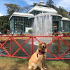 Отель Pousada Dom Petrópolis, фото 34