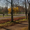 Отель Apartment Charlottenstraße 96, фото 4