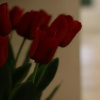 Отель Piervì Suite, фото 5