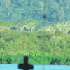 Отель Vale Do Xingu, фото 17