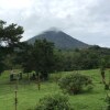 Отель Cabinas Los Guayabos, фото 24