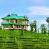 Отель Greenhill Estate, фото 1