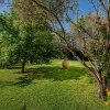 Отель Maria's Resort, фото 9