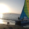 Отель Viajero Paracas Hostel, фото 15