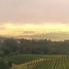 Отель Soave tra le Langhe, фото 13