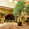 Отель Embassy Suites by Hilton Minneapolis North, фото 24