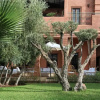 Отель Villa Layyine - Moroccan Sumptuousness in a Sumptuous 4 Bedroom Riad, фото 12