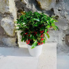 Отель Casa Cristallo in Positano, фото 1