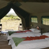 Отель Kananga Special Tented Camp, фото 1