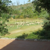 Отель Traditional Mansion in Treixedo With Swimming Pool, фото 22