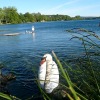 Отель B&B Piccolo Lago, фото 2