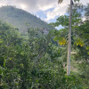 Отель Sítio & Hospedagem Vistas de São Pedro, фото 12