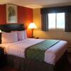 Отель Rodeway Inn Orleans - Cape Cod, фото 31