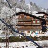 Отель Apartment Heavenly Zweisimmen, фото 13