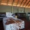 Отель Nkwe Safari Lodge, фото 5