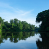 Отель Laguna Lodge Tortuguero, фото 34