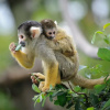 Отель JG Expeditions Tours, фото 20
