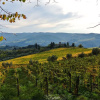 Отель House Lucolena Greve in Chianti, фото 19