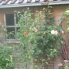 Отель B&B Bed en Brochje Hoogland, фото 5