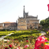 Отель Bussaco Palace Hotel, фото 27