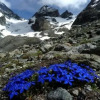 Отель Le Chamois, фото 9