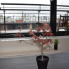 Отель Penthouse 1-bed Apartment With Amazing Views, фото 15