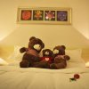 Отель Mido Teddy Hotel, фото 4