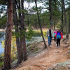 Отель State Game Lodge & Resort, фото 14