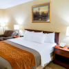 Отель Comfort Inn Amish Country, фото 6