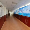 Отель Dolphin Hotel, фото 9