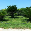Отель Villa Lara 1, фото 6