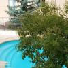 Отель Sol de Poniente, фото 8