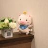 Отель Floral Hotel Sakaisujihonmachi Osaka, фото 13