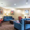 Отель Comfort Inn & Suites - Hannibal, фото 40